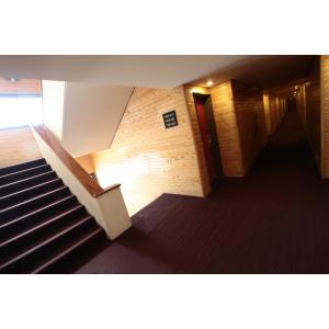 ARIES MAXIWEEK - Alojamiento en Las Leñas